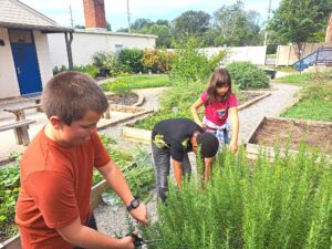 Madison elementary students grow rosemary for Taziki’s Cafe