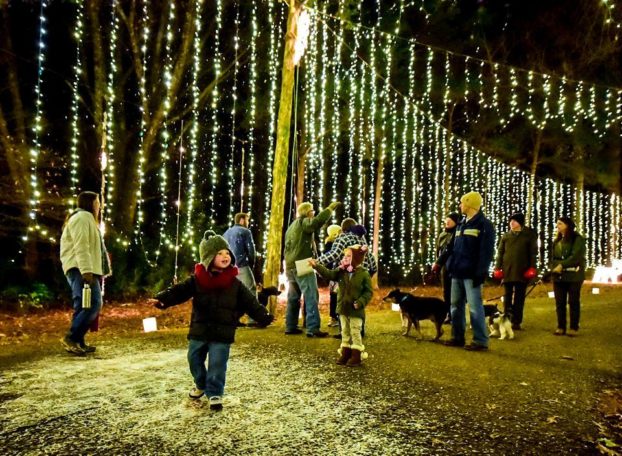 Galaxy Of Lights Returns To Huntsville Botanical Garden With Traditional Favorites New Surprises The Madison Record The Madison Record
